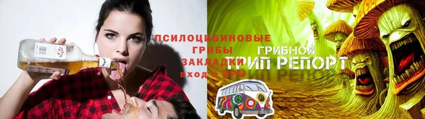 СК Алексеевка