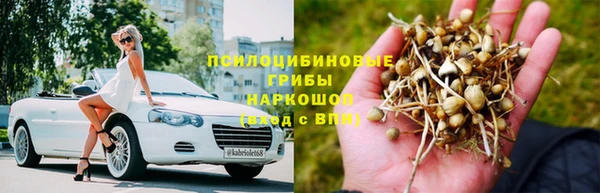 СК Алексеевка