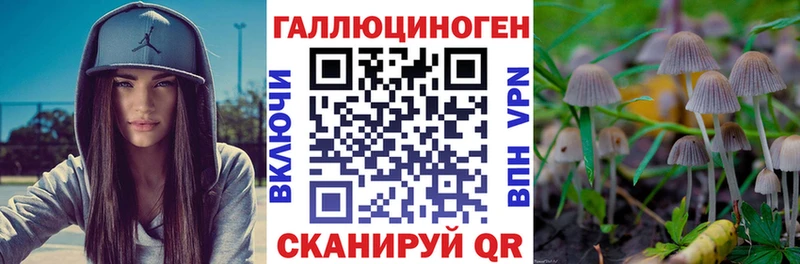 hydra ссылка нарко площадка официальный сайт Псилоцибиновые грибы Cubensis Приморск