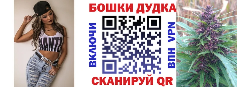 Бошки марихуана Bruce Banner  Приморск 